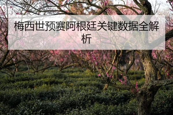 梅西世预赛阿根廷关键数据全解析