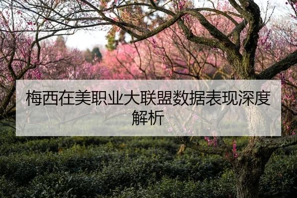 梅西在美职业大联盟数据表现深度解析