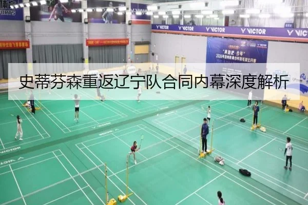 史蒂芬森重返辽宁队合同内幕深度解析