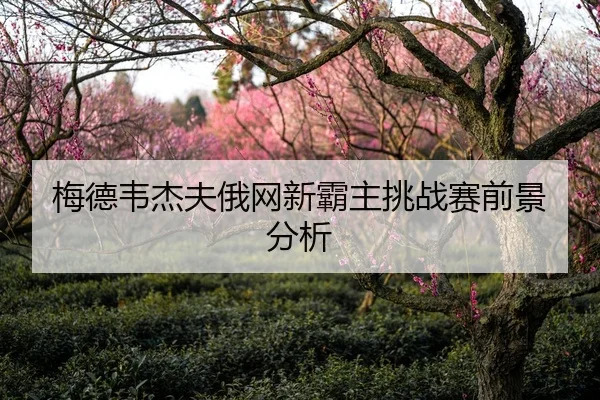 梅德韦杰夫俄网新霸主挑战赛前景分析