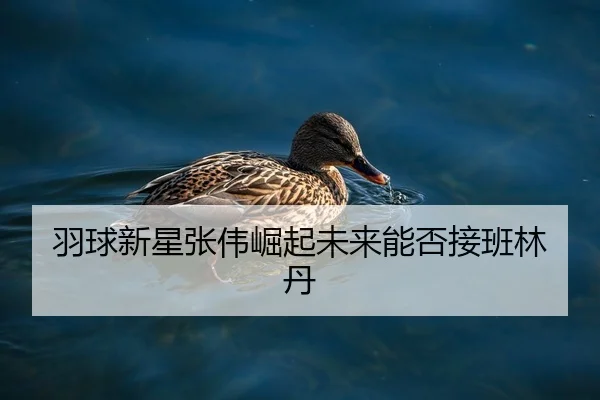 羽球新星张伟崛起未来能否接班林丹
