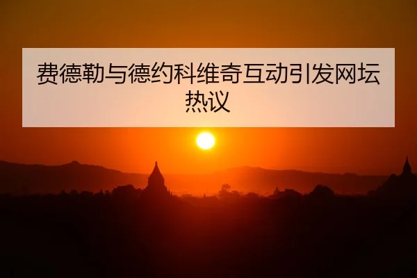 费德勒与德约科维奇互动引发网坛热议