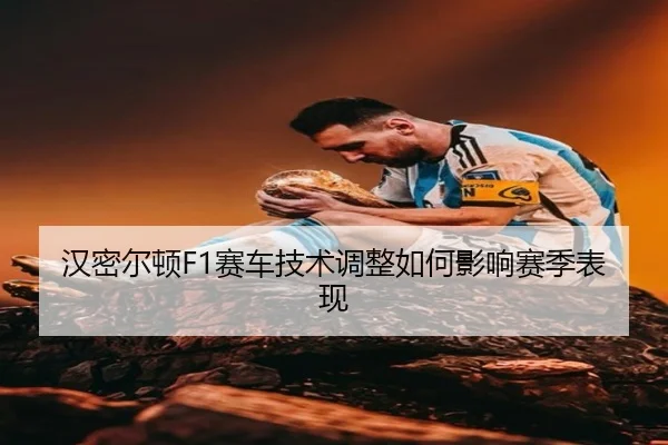 han-mi-er-dun-sai-che-ji-shu-tiao-zheng-ru-he-ying-xiang-sai-ji-biao-xian-2-679.jpg