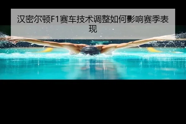 汉密尔顿F1赛车技术调整如何影响赛季表现